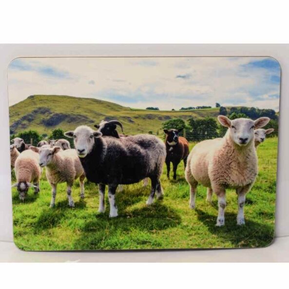 Herdwick Sheep Place mats
