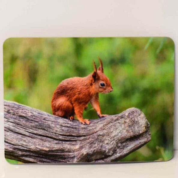Red Squirrel Place mat